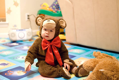 Cute Bear
