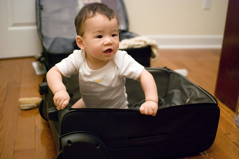 Toy Luggage