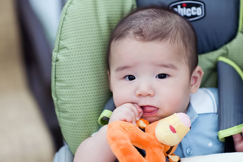 New Tigger Rattle